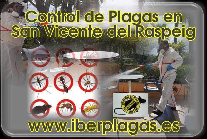 Control de Plagas en San Vicente del Raspeig