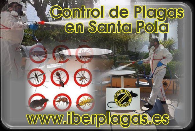 Control de Plagas en Santa Pola
