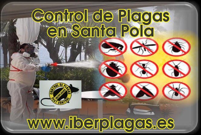 Control de plagas en Santa Pola