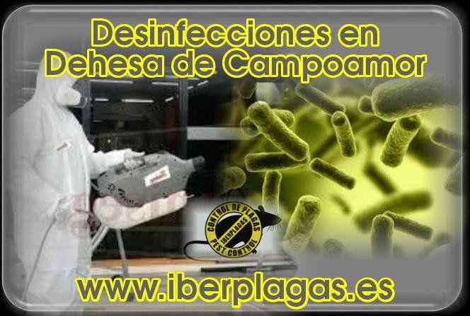 Desinfecciones en Dehesa de Campoamor