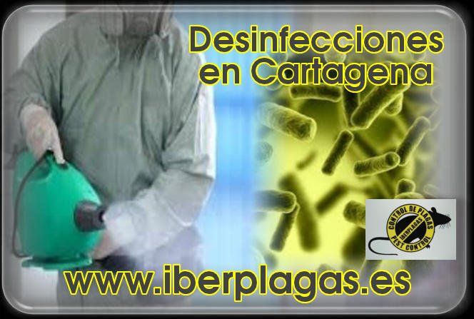 Desinfecciones en Cartagena