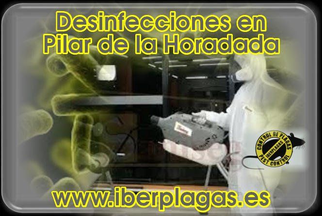 Desinfecciones en Pilar de la Horadada
