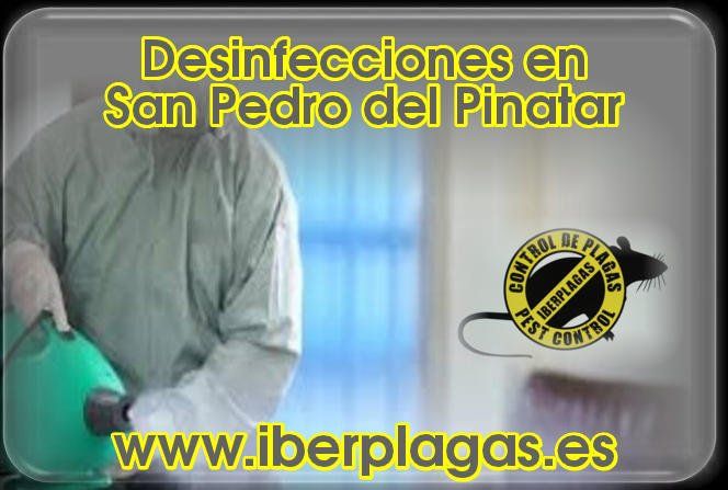 Empresa para fumigar en San Pedro del Pinatar