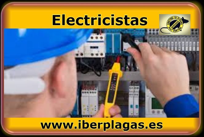 Electricistas en la provincia de Alicante y Murcia