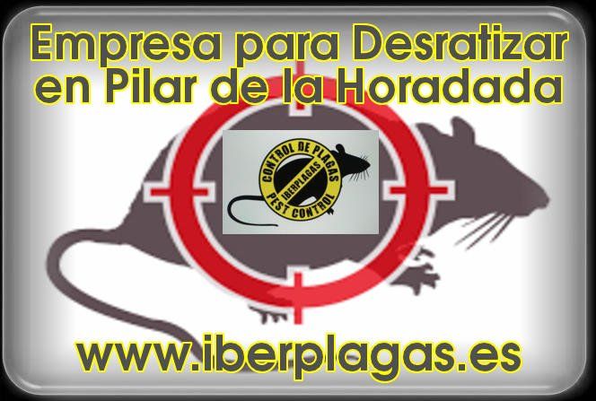Empresa para desratizar en Pilar de la Horadada