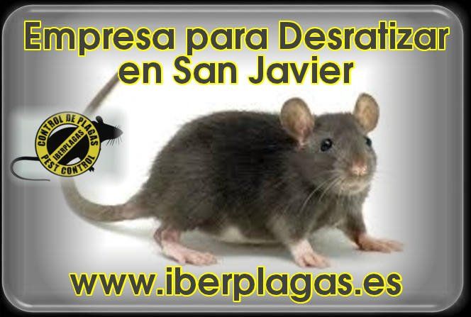 Empresa para desratizar en San Javier