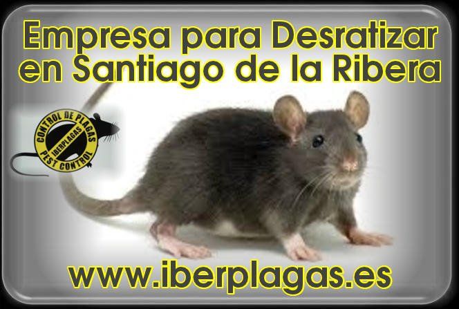 Empresa para desratizar en Santiago de la Ribera