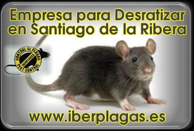 Eliminar ratas en Santiago de la Ribera