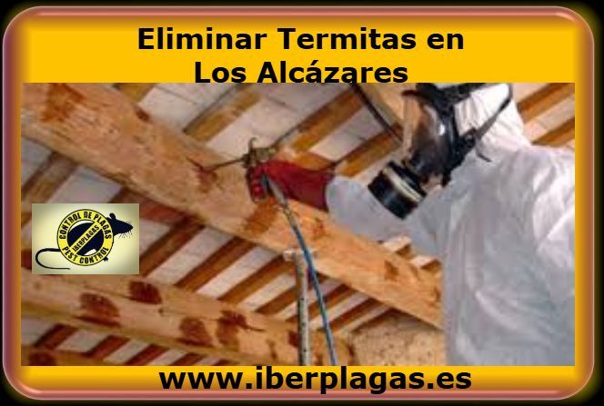 Eliminar termitas en Los Alcázares