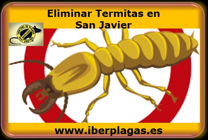 Eliminar termitas en San Javier