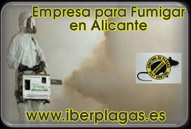 Empresa para Fumigar en Alicante