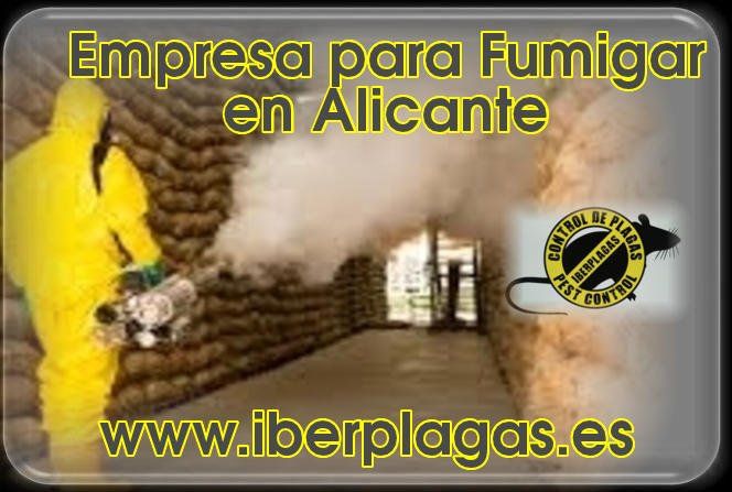 Empresa para Fumigar en Alicante