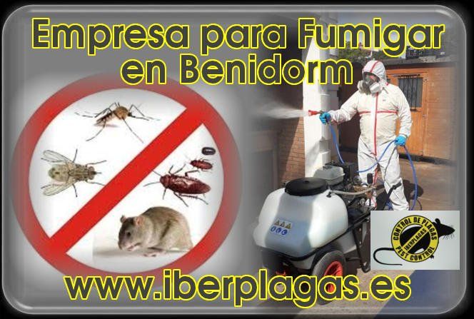 Empresa para fumigar en Benidorm