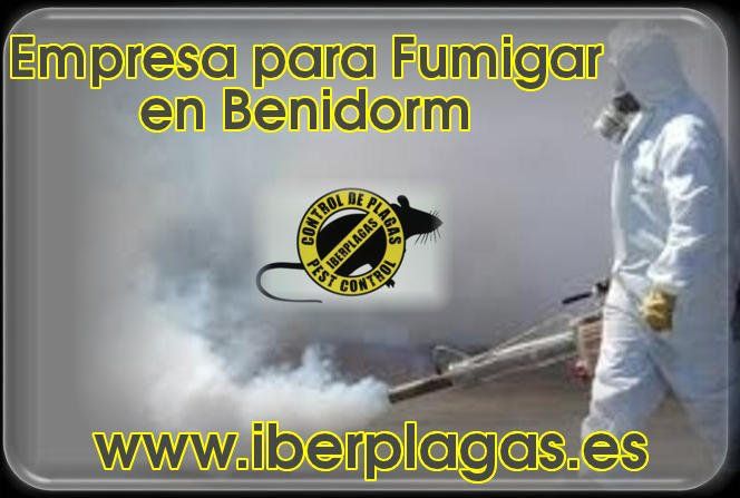 Empresa para fumigar en Benidorm