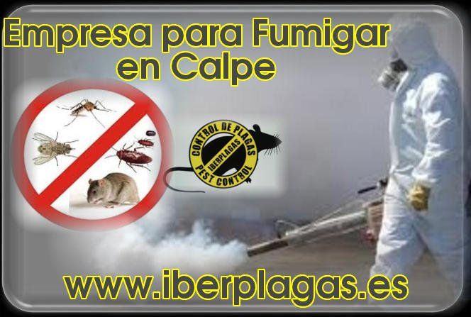 Empresa para fumigar en Calpe