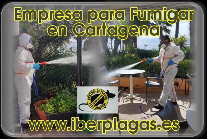 Empresa para fumigar en Cartagena