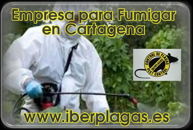 Empresa para fumigar en Cartagena