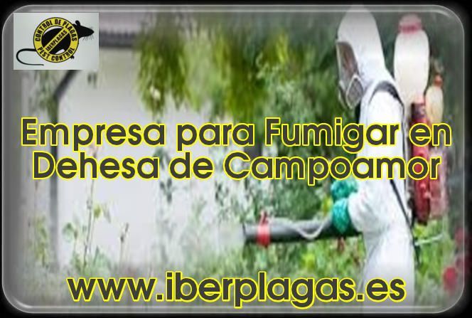 Empresa para fumigar en Dehesa de Campoamor