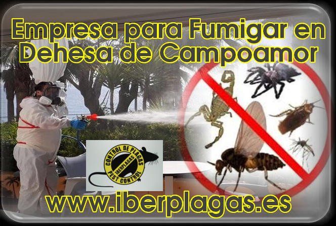Empresa para fumigar en Dehesa de Campoamor