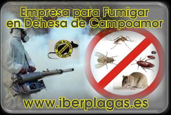 Empresa para fumigar en Dehesa de Campoamor