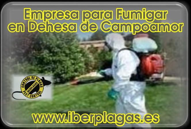 Empresa para fumigar en Dehesa de Campoamor
