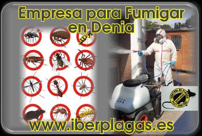 Empresa para Fumigar en Denia