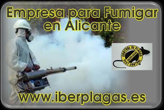 Empresa para fumigar en Alicante