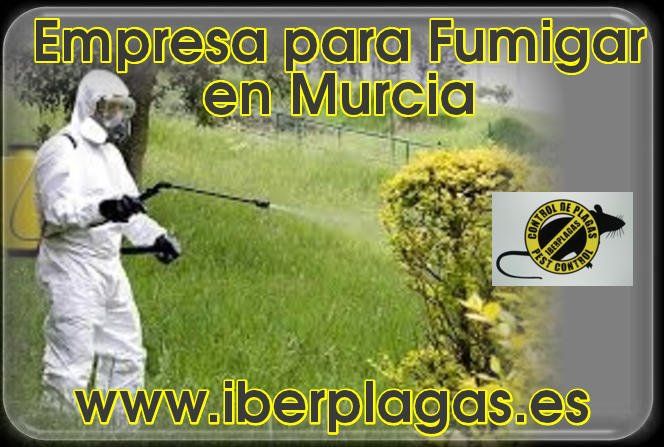 Empresa para fumigar en Murcia