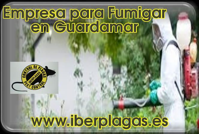 Empresa para fumigar en Guardamar