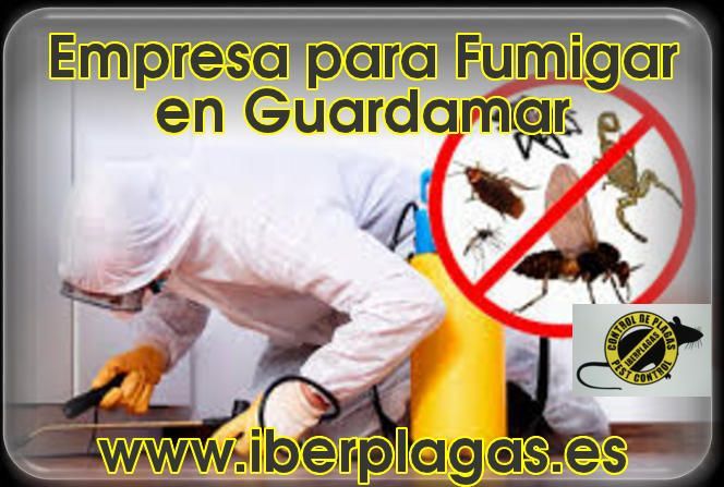 Empresa para fumigar en Guardamar