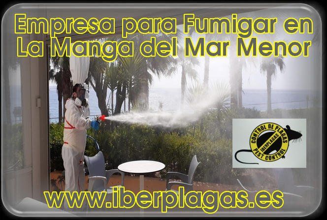 Empresa para Fumigar en La Manga del Mar Menor