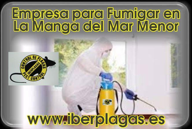 Empresa para fumigar en La Manga del Mar Menor