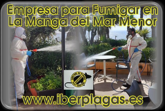 Empresa para fumigar en La Manga del Mar Menor