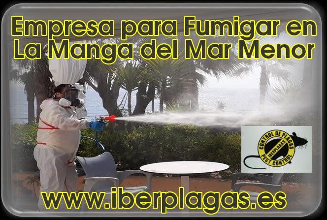 Empresa para fumigar en La Manga del Mar Menor