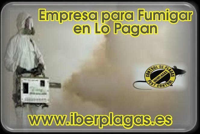 Empresa para fumigar en Lo pagan