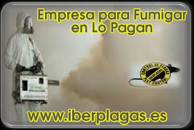 Empresa para fumigar en Lo Pagan