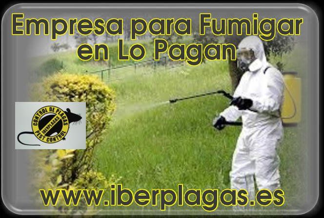 Empresaa para fumigar en Lo Pagan