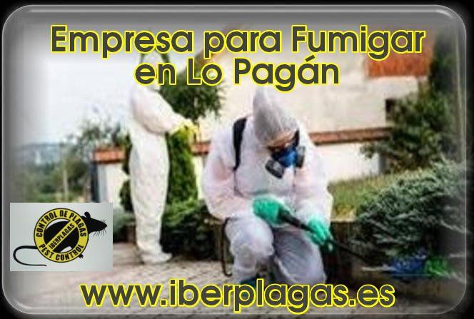 Empresa para fumigar en Lo Pagan