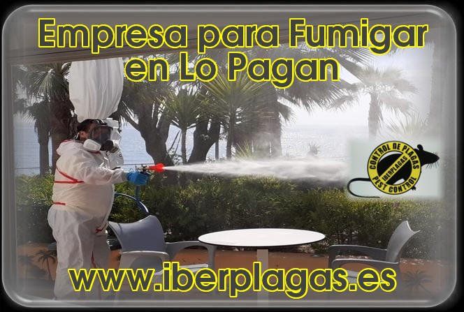 Empresa para fumigar en Lo Pagan