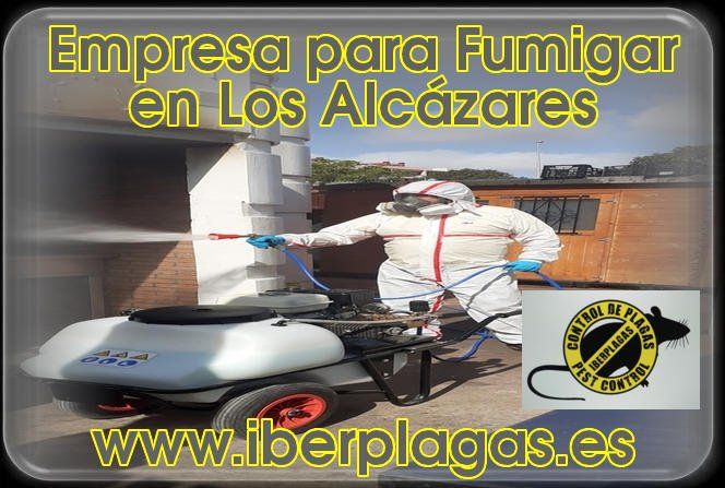 Empresa para fumigar en Los Alcázares