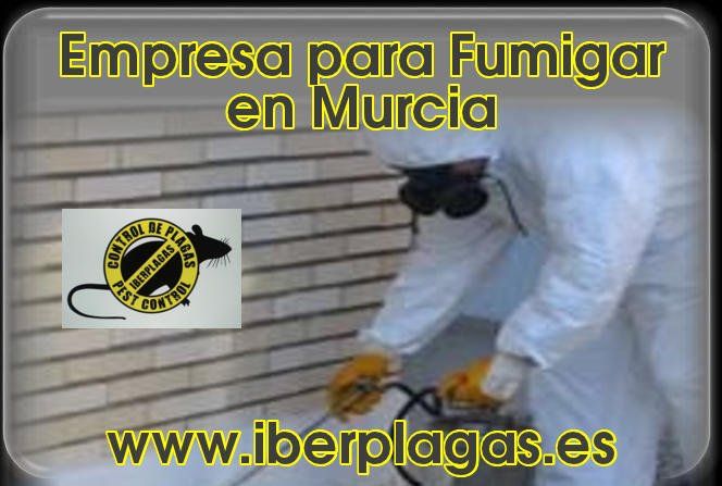 Empresa para Fumigar en Murcia