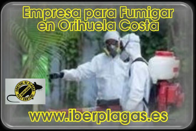 Empresa para fumigar en Orihuela costa