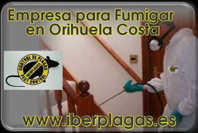 Empresa para fumigar en Orihuela Costa