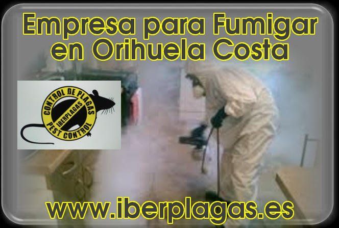 Empresa para fumigar en Orihuela Costa