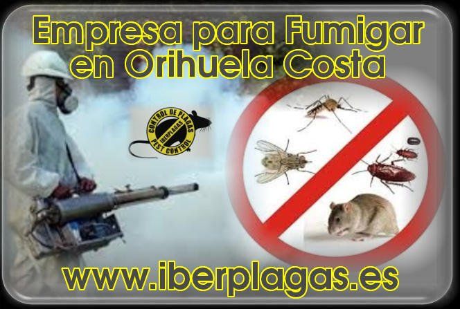 Empresa para fumigar en Orihuela Costa