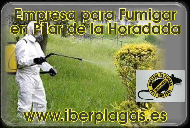 Empresa para fumigar en Pilar de la Horadada