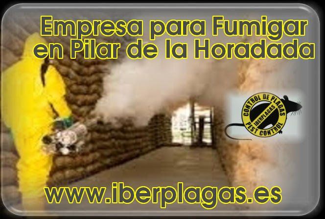 Empresa para fumigar en Pilar de la Horadada