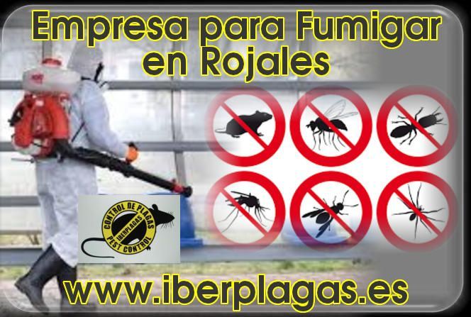 Empresa para fumigar en Rojales