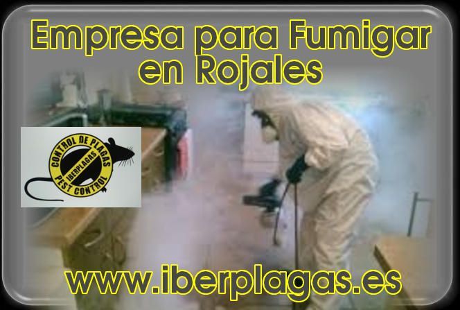 Empresa para fumigar en Rojales