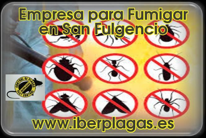 Empresa para fumigar en San Fulgencio